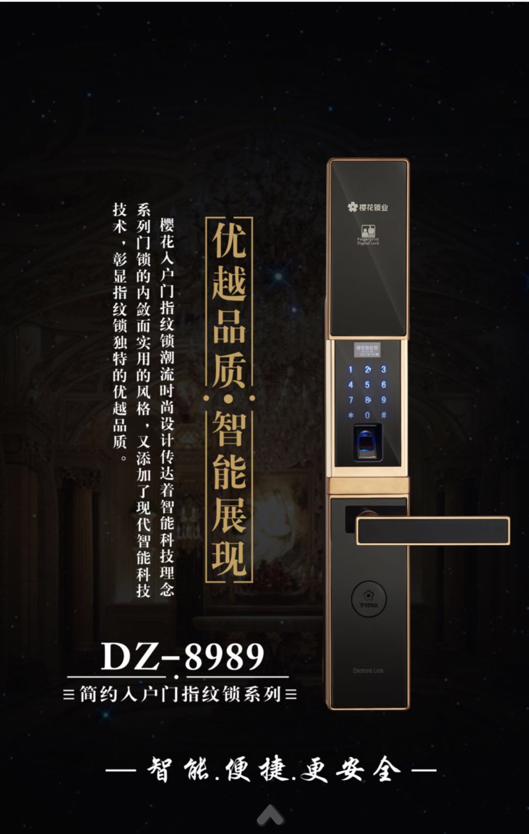 ѻTi  DZ-8989